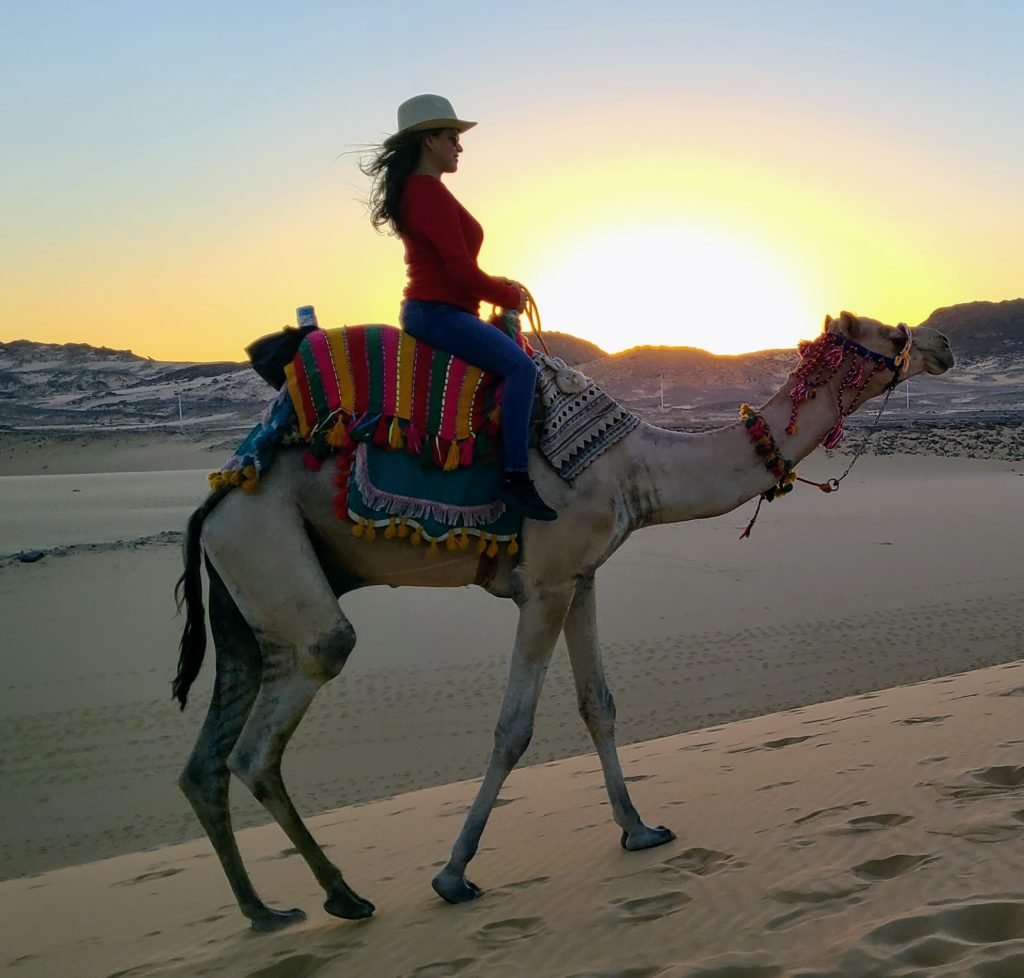 Female on Camel during sunset on an Ancient Navigator Optional Excursion