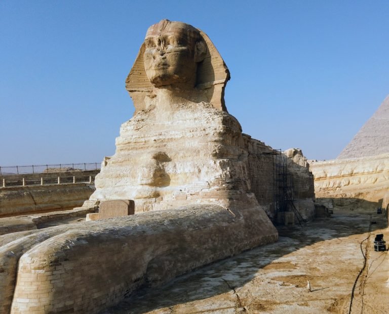 view of Sphinx from the right side. Inside of the Sphinx enclosure.