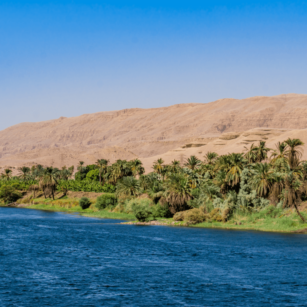 scene of the bank of the Nile as seen from a water vessel