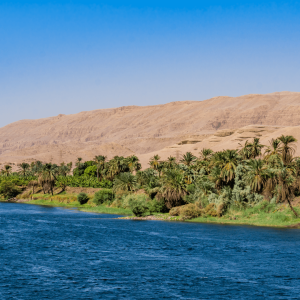 scene of the bank of the Nile as seen from a water vessel